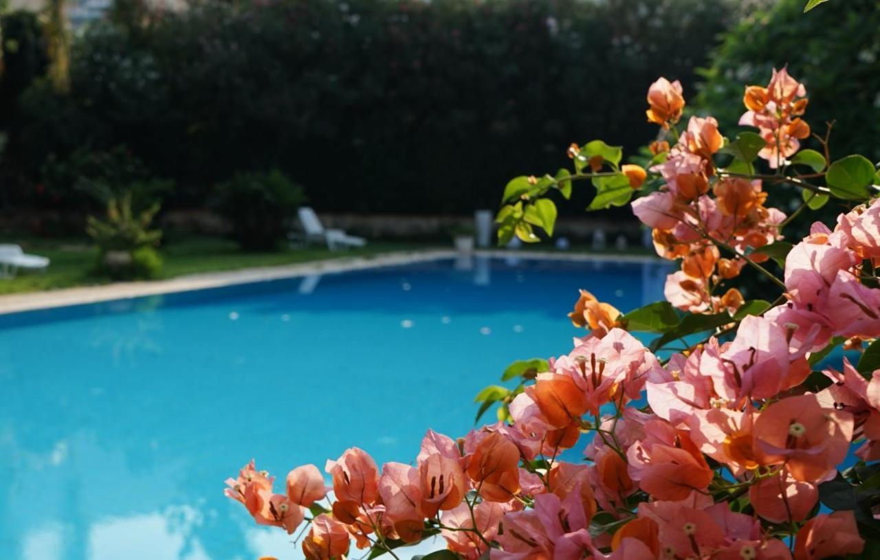 Villa Megna - Green Paradise B&B パレルモ エクステリア 写真