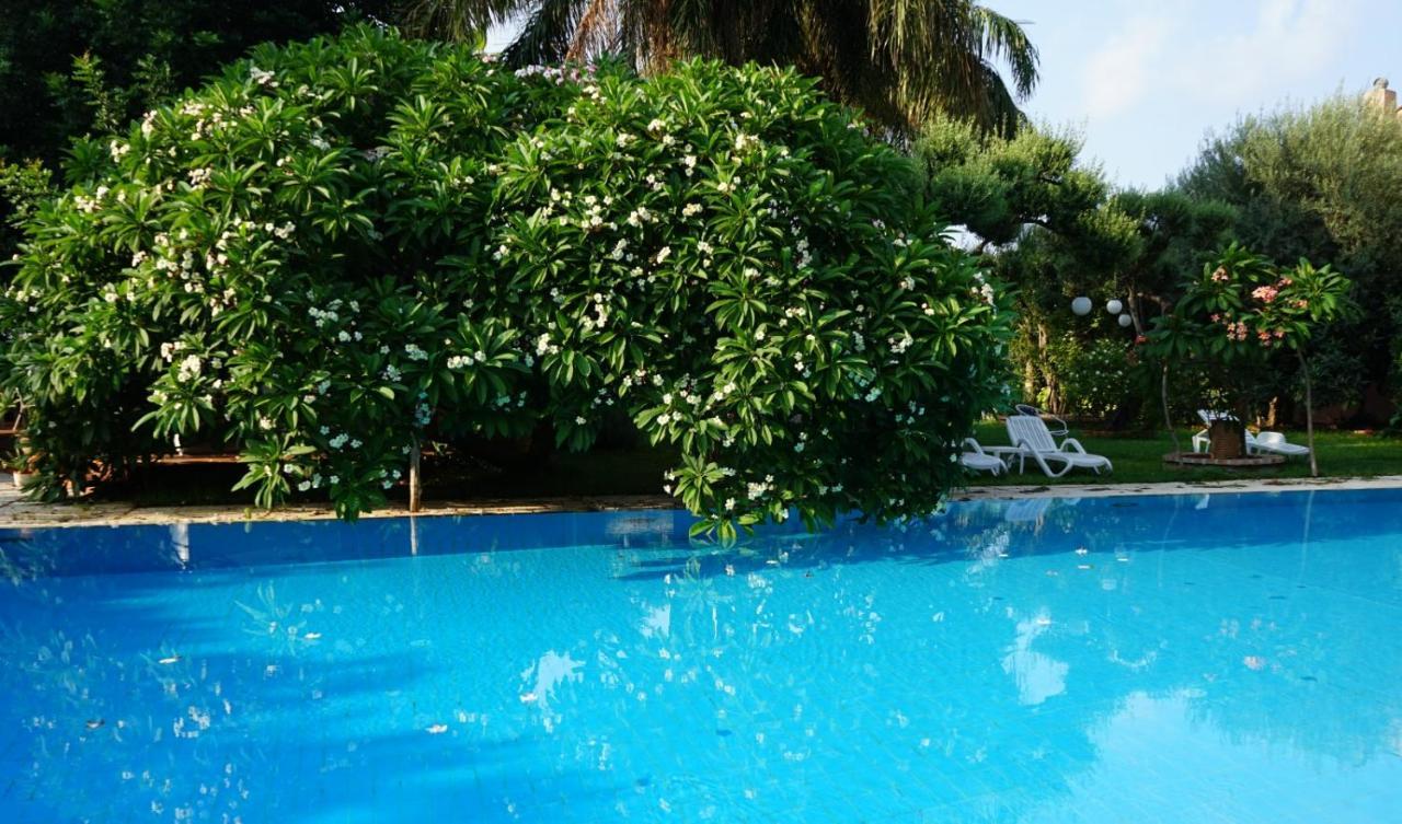 Villa Megna - Green Paradise B&B パレルモ エクステリア 写真
